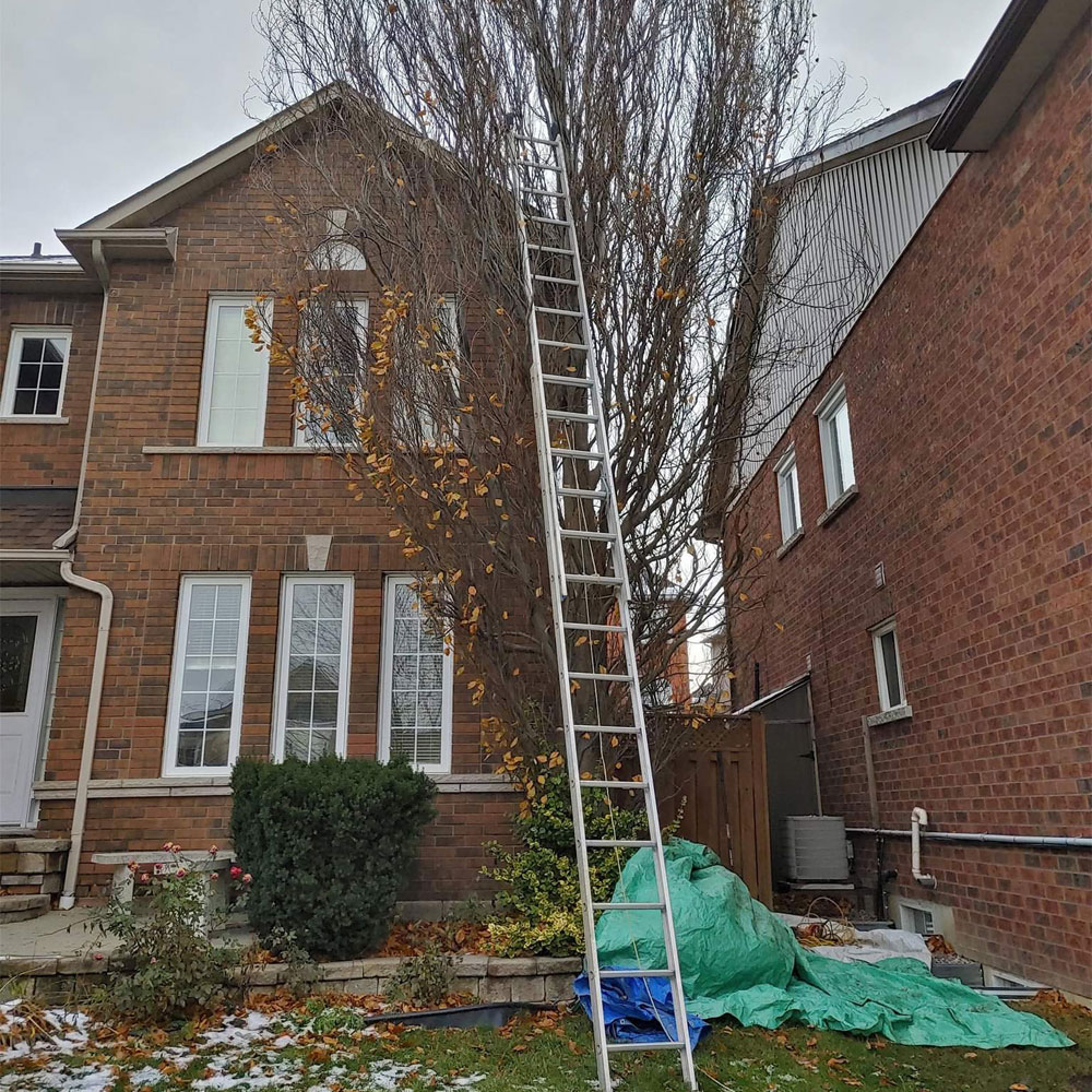BuildingByBri Handyman & Tree Services photo 3