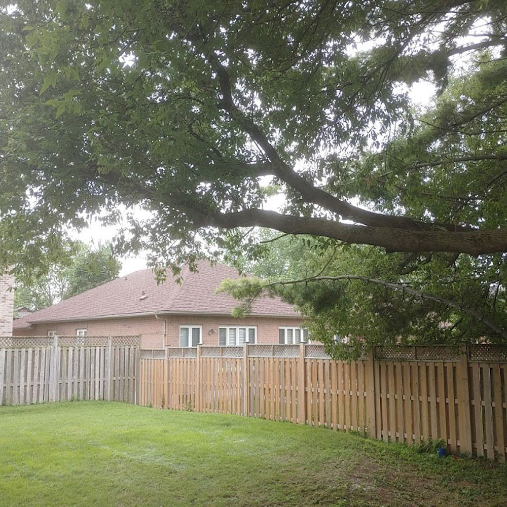 BuildingByBri Handyman & Tree Services photo 1